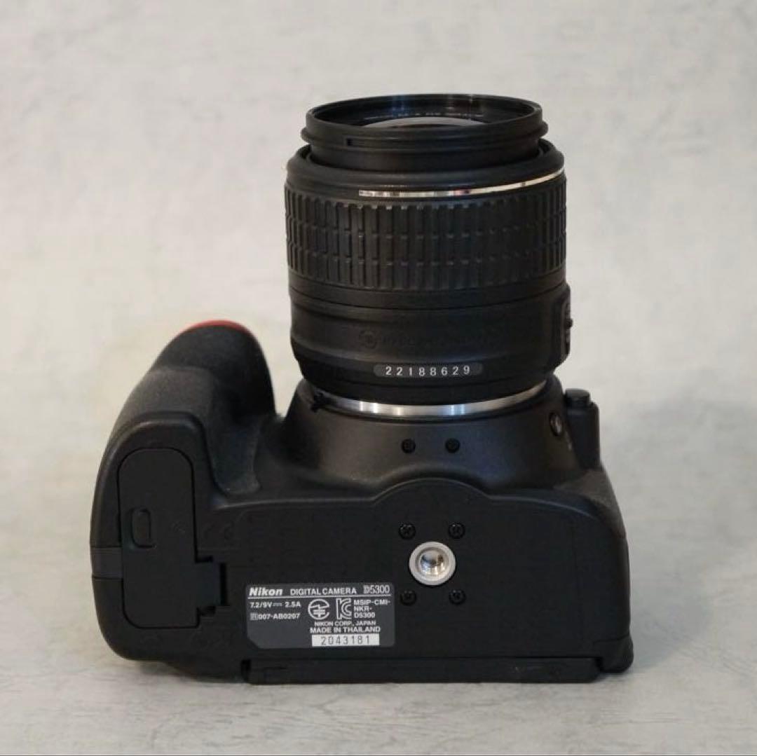 Nikon D5300 AF-S18-５５GiiVR サンパック　PF30X