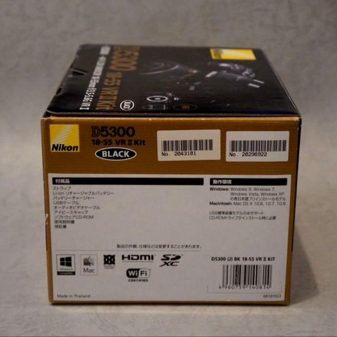 Nikon D5300 AF-S18-５５GiiVR サンパック　PF30X