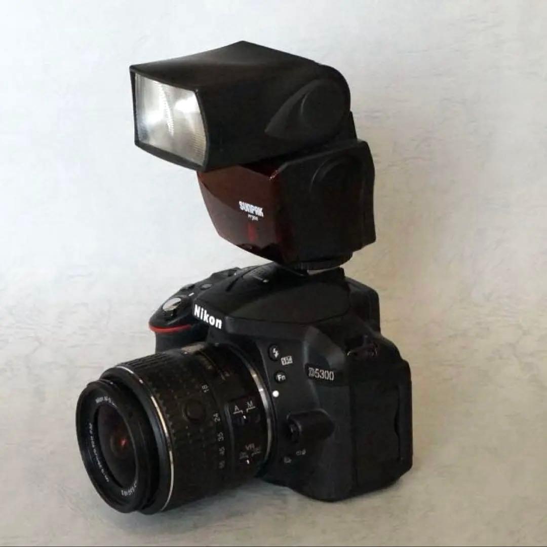 Nikon D5300 AF-S18-５５GiiVR サンパック　PF30X