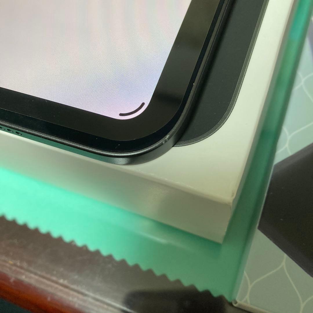 M4 iPad Pro 13インチ wifi 256GB +おまけケース