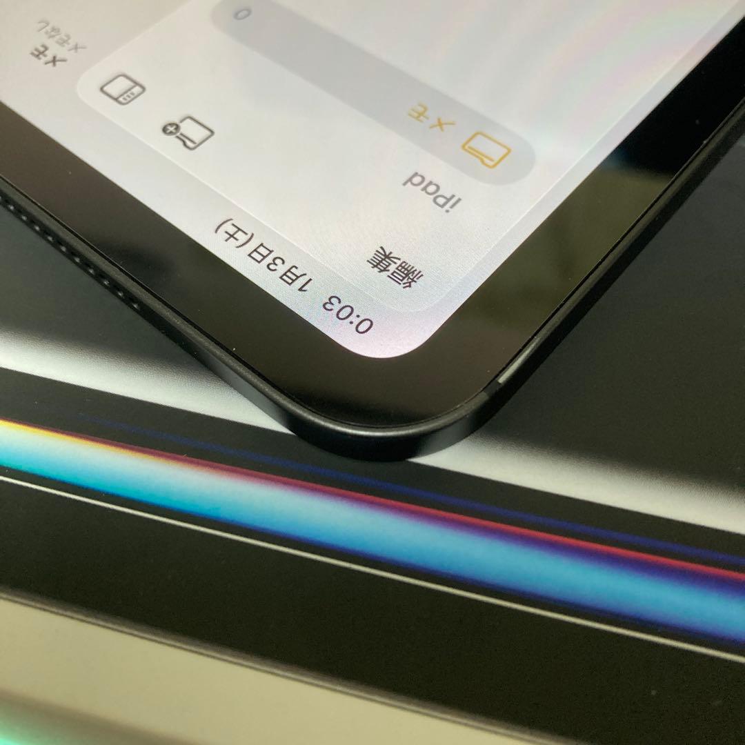 M4 iPad Pro 13インチ wifi 256GB +おまけケース