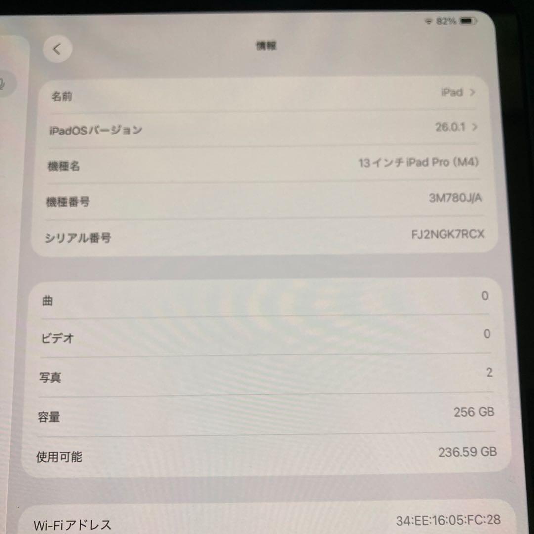 M4 iPad Pro 13インチ wifi 256GB +おまけケース
