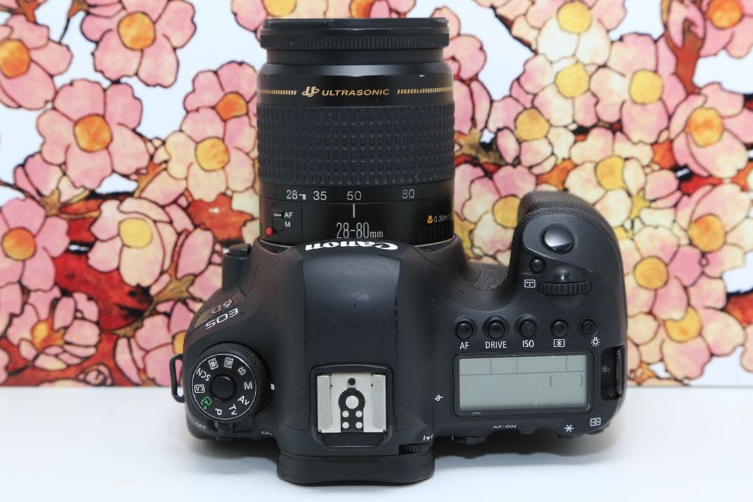 ❤フルサイズ機❤キヤノン EOS 6D markⅡ レンズセット❤