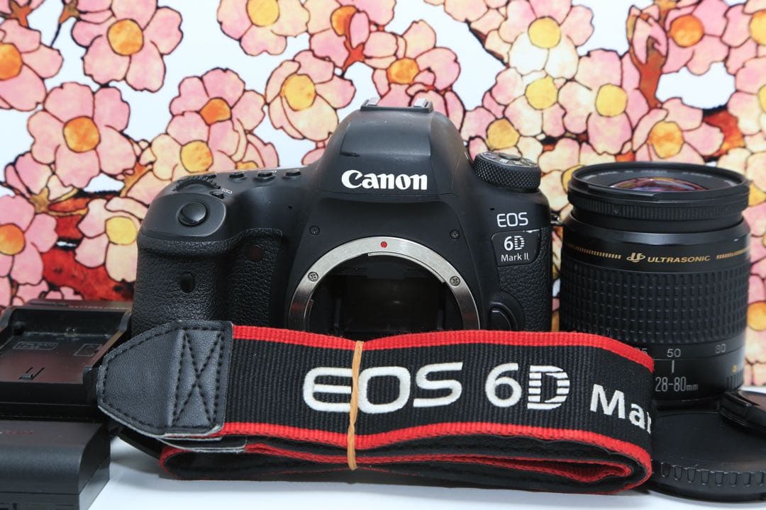 ❤フルサイズ機❤キヤノン EOS 6D markⅡ レンズセット❤