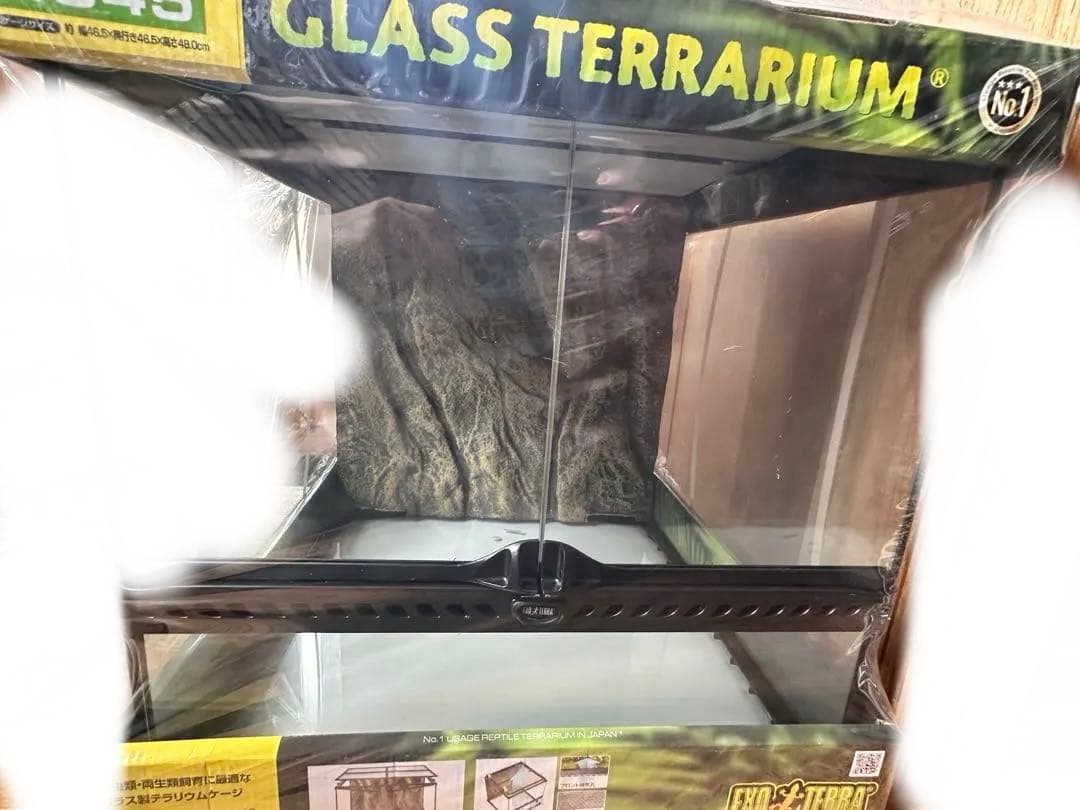 エキゾテラ グラステラリウム4545 PT2605