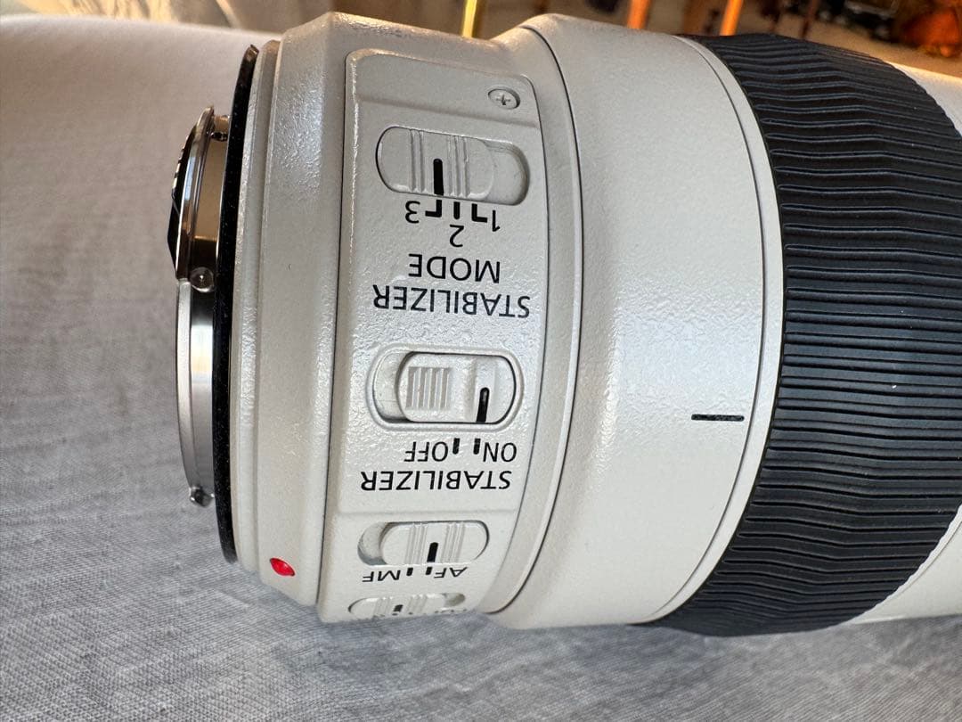 使用2週Canon EF100-400mm F4.5-5.6L ISII USM