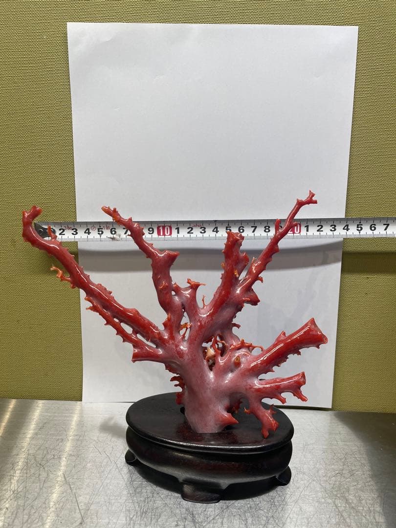 赤珊瑚　原本　サンゴ　置物　オブジェ