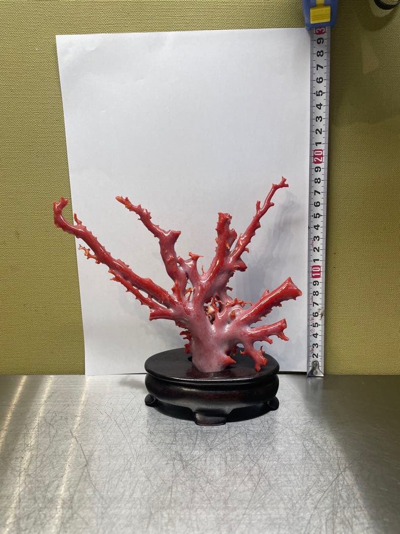 赤珊瑚　原本　サンゴ　置物　オブジェ