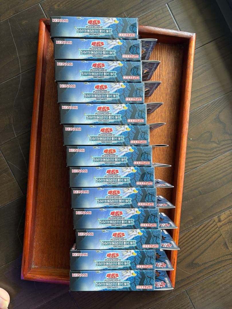 青き眼の光臨　13個セット　新品未開封