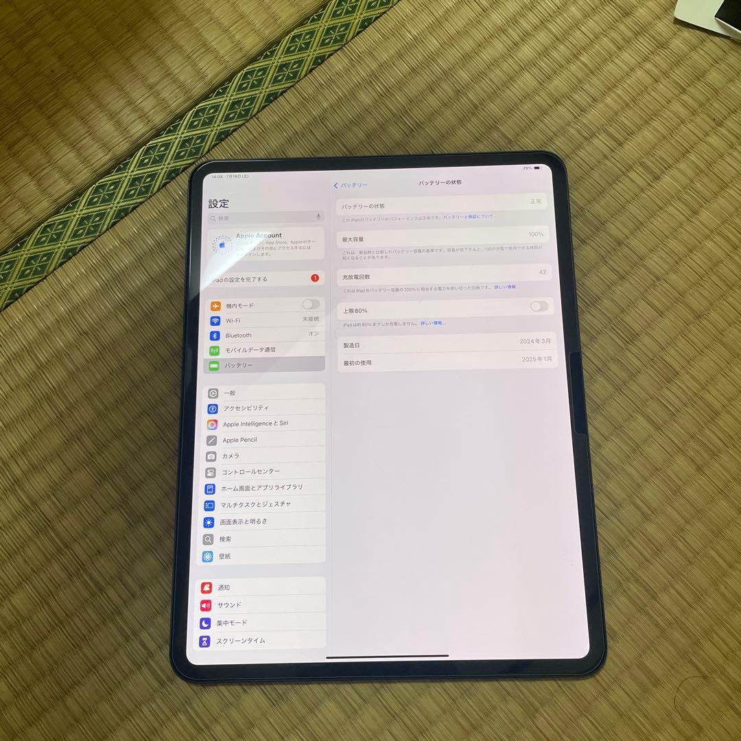 512GB iPad Pro 13㌅（M4）Wi-Fi+セルラー