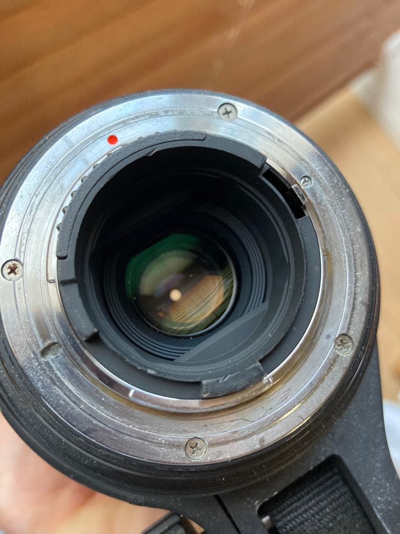 その他 SIGMA APO150-500F5-6.3DG OS HSM/N