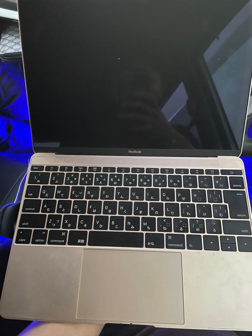 MacBook本体 MacBook (kengo66)