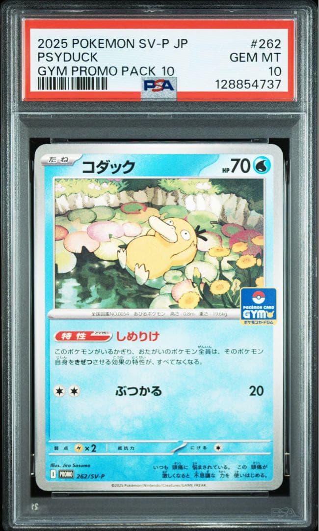 【PSA10】コダック ジムプロモ しめりけ Psyduck 6枚セット