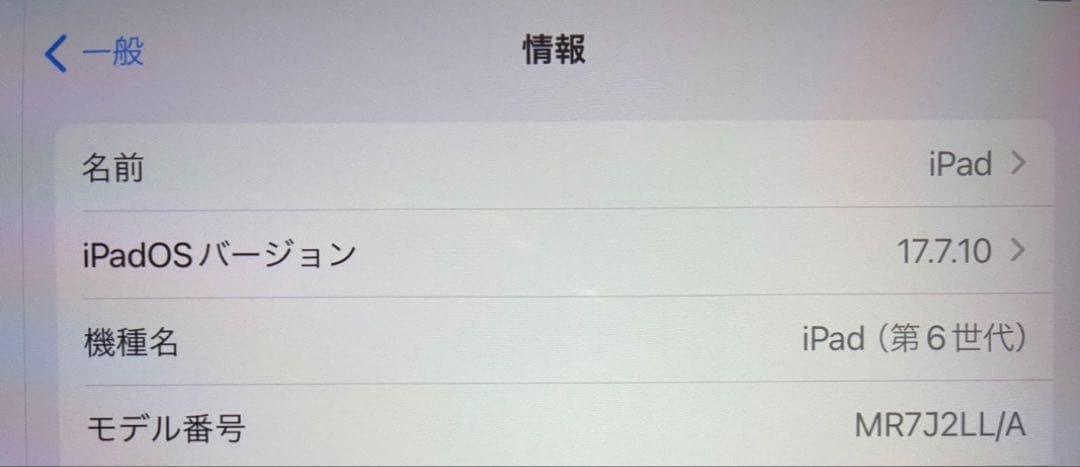 iPad 第6世代 128GB （A10）Wi-Fi モデル 美品 動作確認済