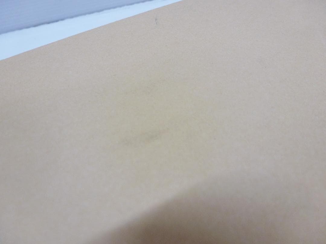 NIPLUX 加圧＆温熱ヘッドケア チルメット NP-CM24IV 帽子型