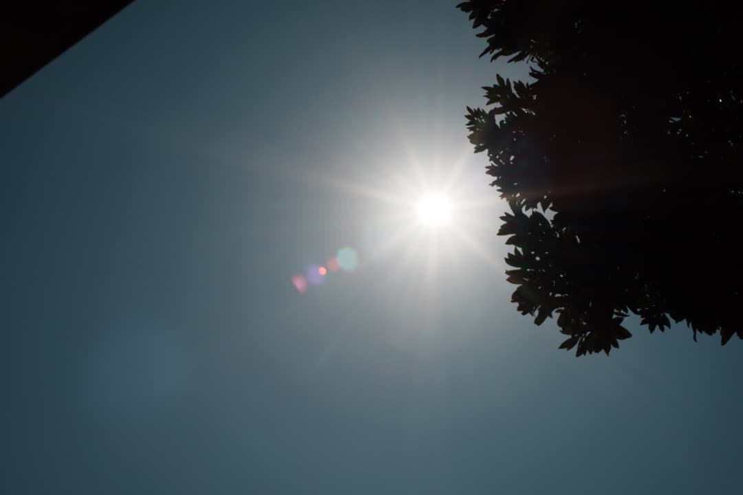 【美品】動作◎ ニコン　Ai Nikkor 50mm F1.4 273