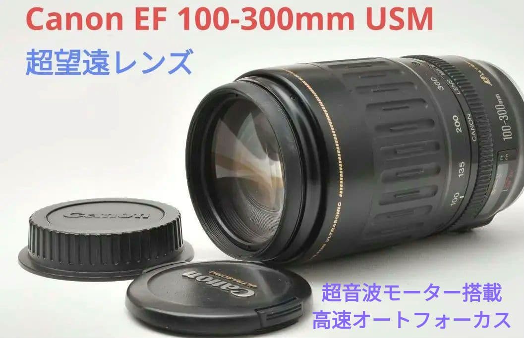 2月21日限定価格♪Canon EF 100-300mm USM