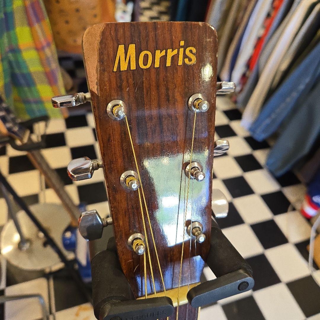 MORRIS MD-506 アコースティックギター