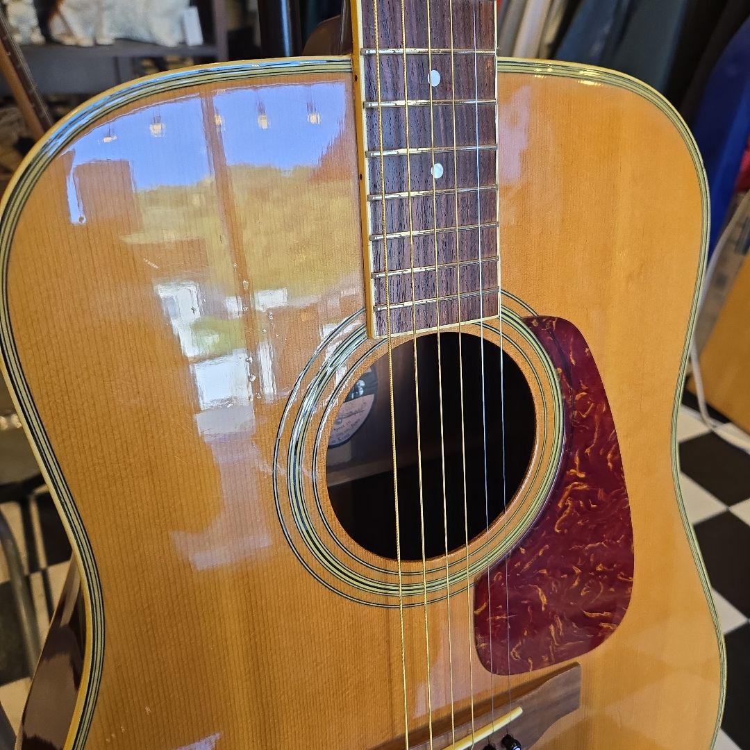 MORRIS MD-506 アコースティックギター