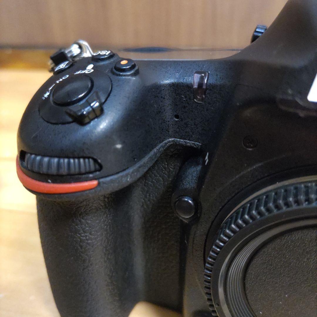 ニコン　D500 ⑤