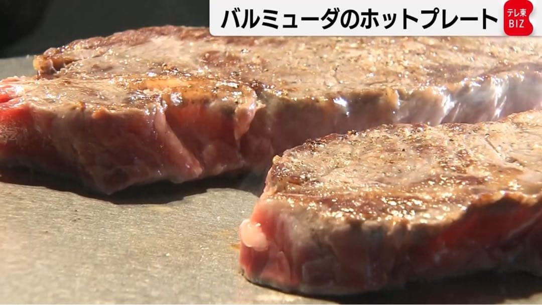 【早い者勝ち】BALMUDA The Plate Pro 未使用品 値下げ中