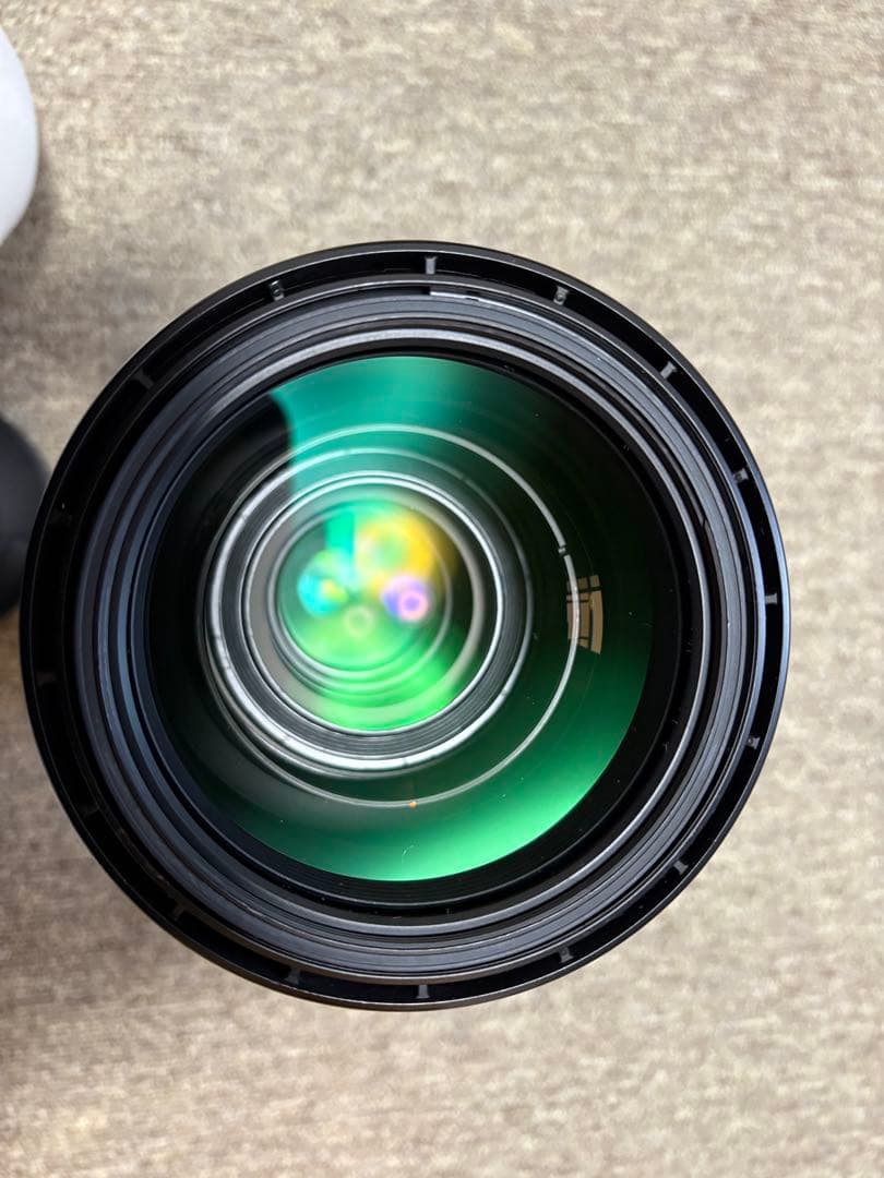 Sigma150-600mm Canon EFマウントContemporary