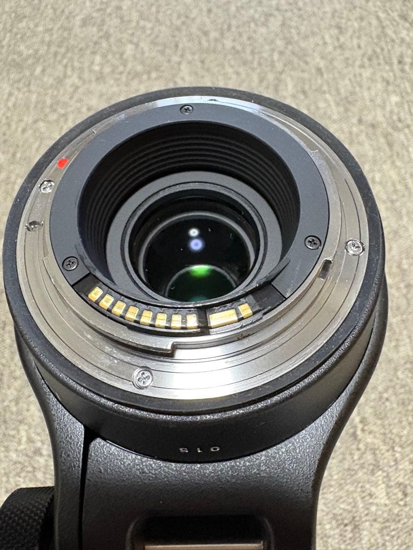 Sigma150-600mm Canon EFマウントContemporary