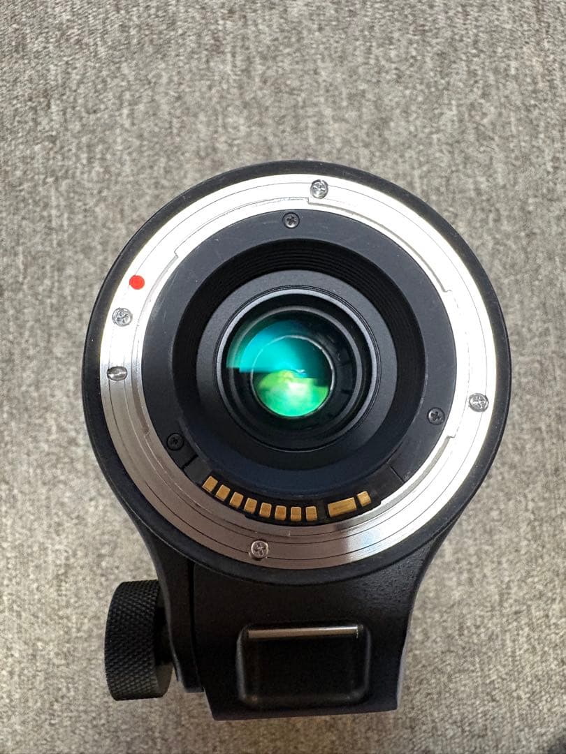 Sigma150-600mm Canon EFマウントContemporary