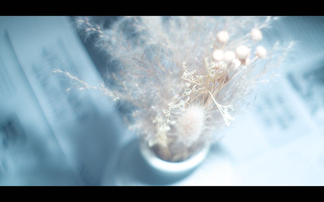 Canon SERENAR 50mm f1.8 L39マウント