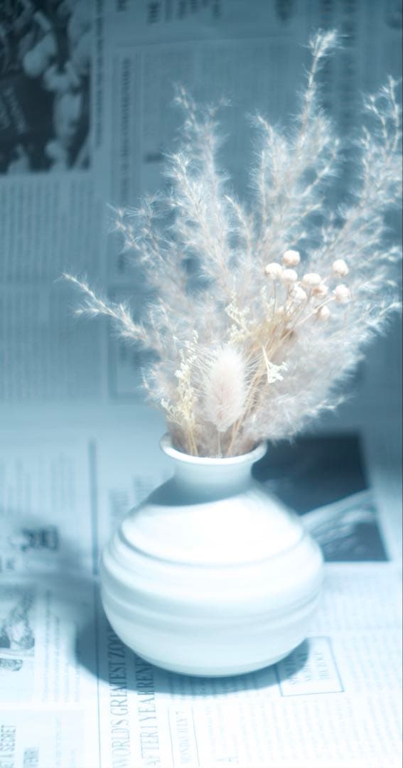 Canon SERENAR 50mm f1.8 L39マウント