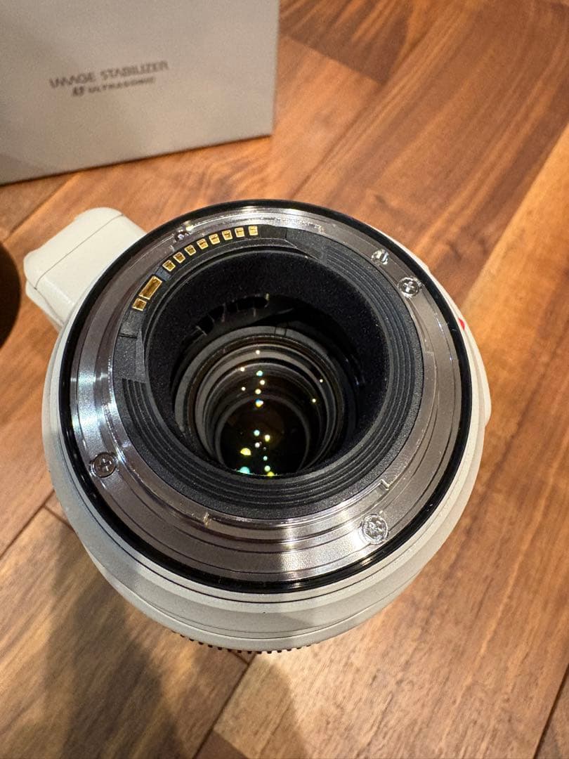 Canon EF100-400mm f4.5-5.6L IS II ＋おまけ付