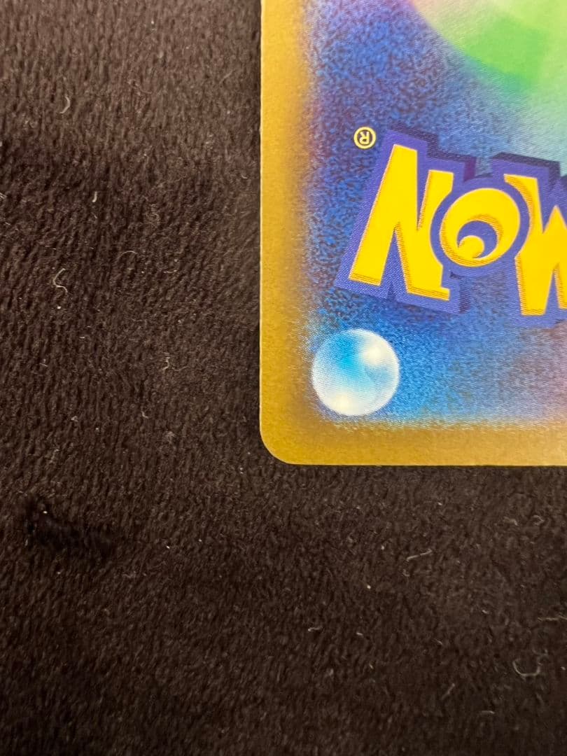 ル*ル様 メガカイリューex sar