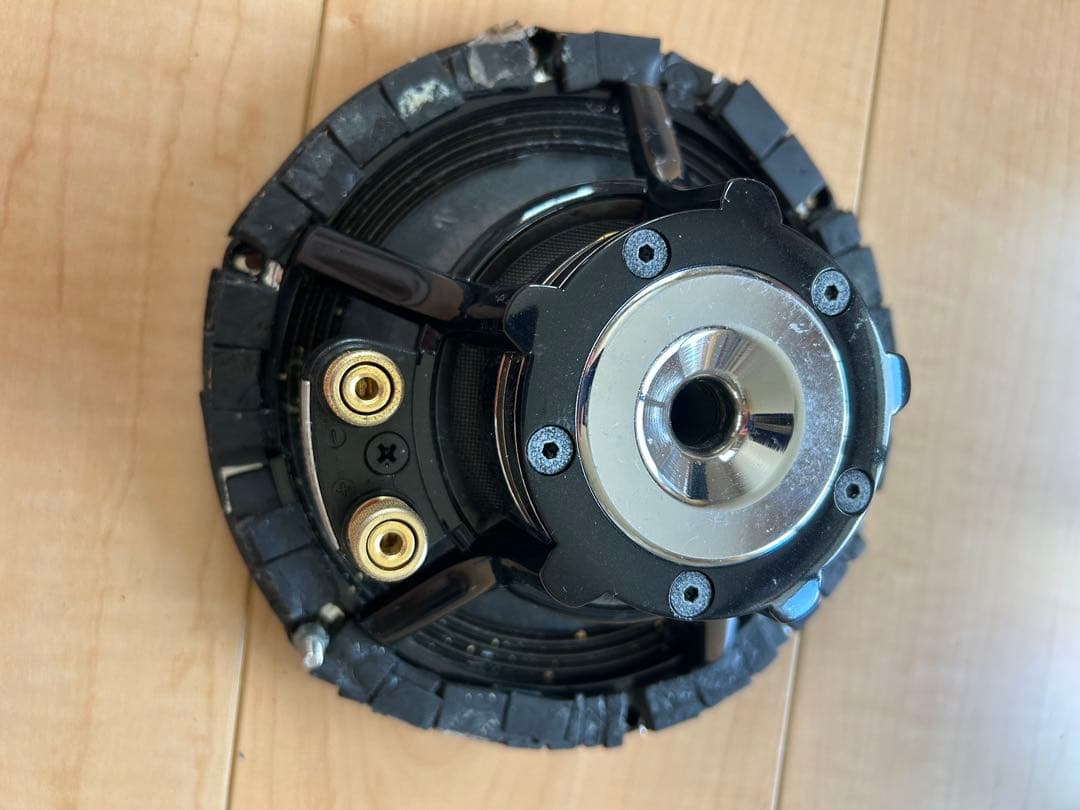 carrozzeria　TS-M1RSⅡ