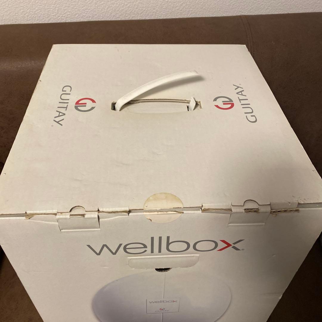 カ*。様 wellbox GUITAY エンダモロジー