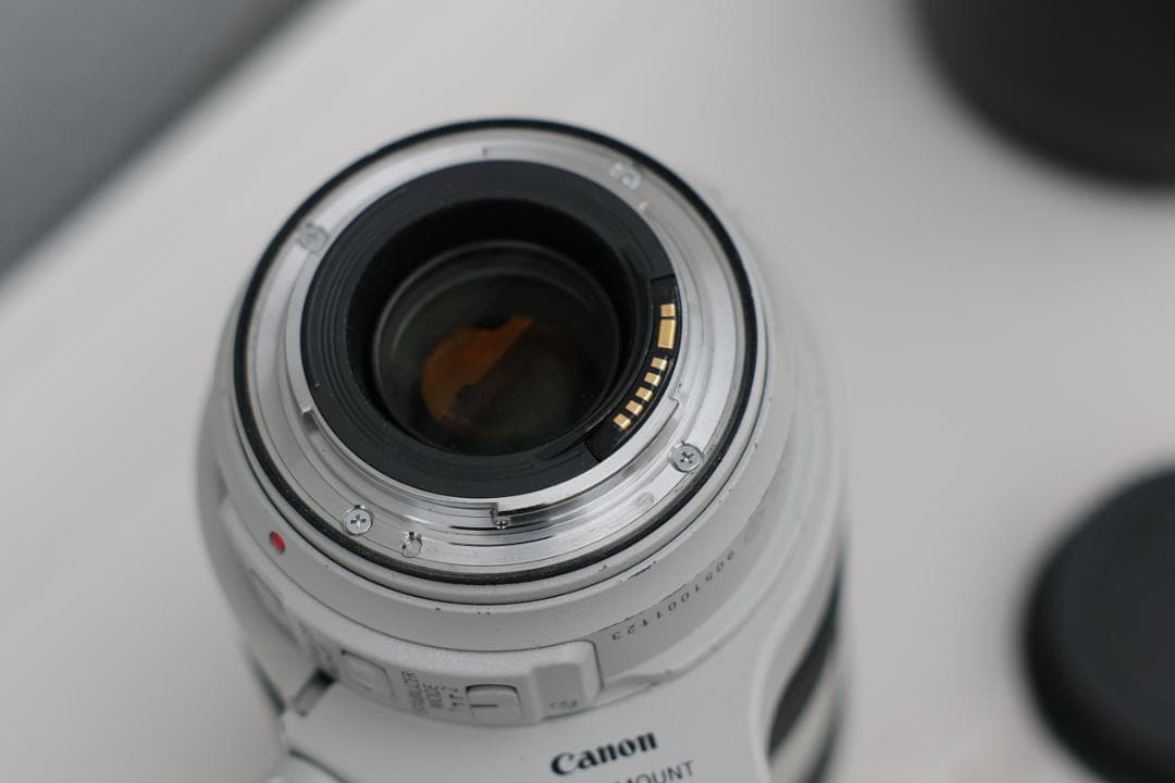 レンズ(ズーム) Canon EF 70-300mm f/4-5.6L IS USM