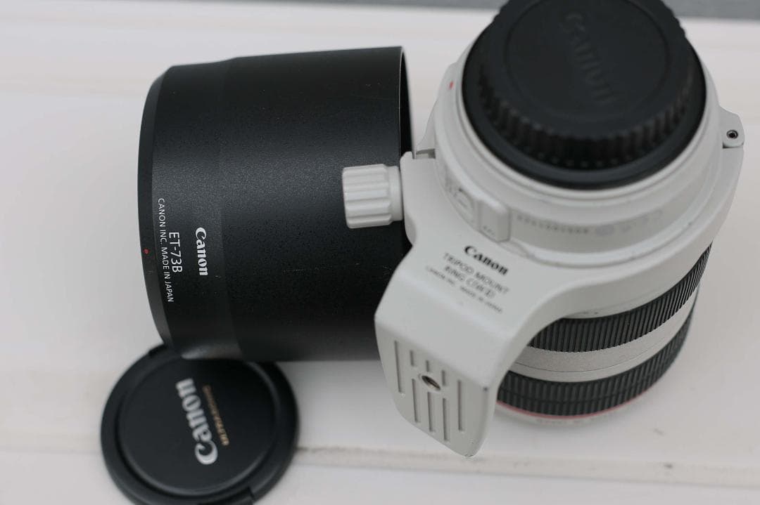 レンズ(ズーム) Canon EF 70-300mm f/4-5.6L IS USM