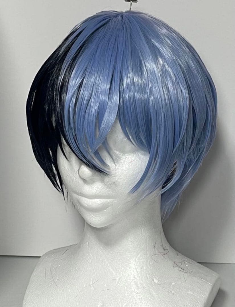 青柳冬弥 セット済みウィッグ