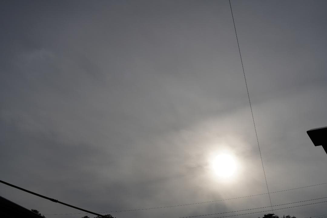 フィルムカメラ Nikon FE Black / Ai Nikkor 50mm F1.4