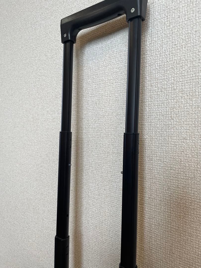 キャリーバック