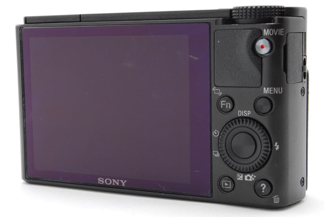 元箱 美品 ケース付 SONY DSC-RX100 デジタルカメラ #150
