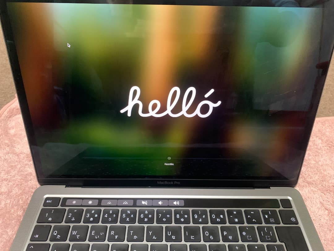 MacBook本体 MacBook pro 2022 model A2338 ssd 512GB