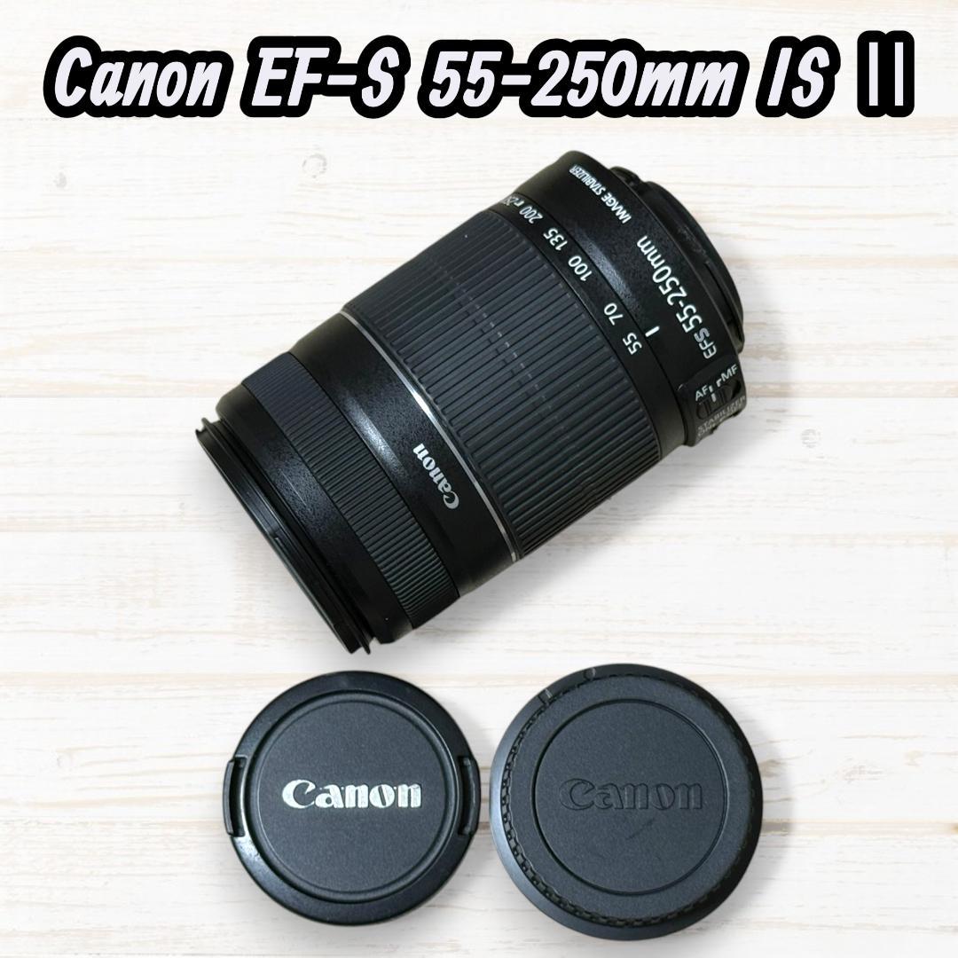 Canon ズームレンズ EF-S 55-250mm IS Ⅱ #236
