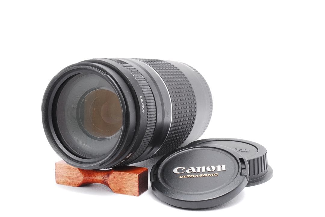 初心者オススメ⭐️Canon EOS Kiss X5 ダブルレンズセット