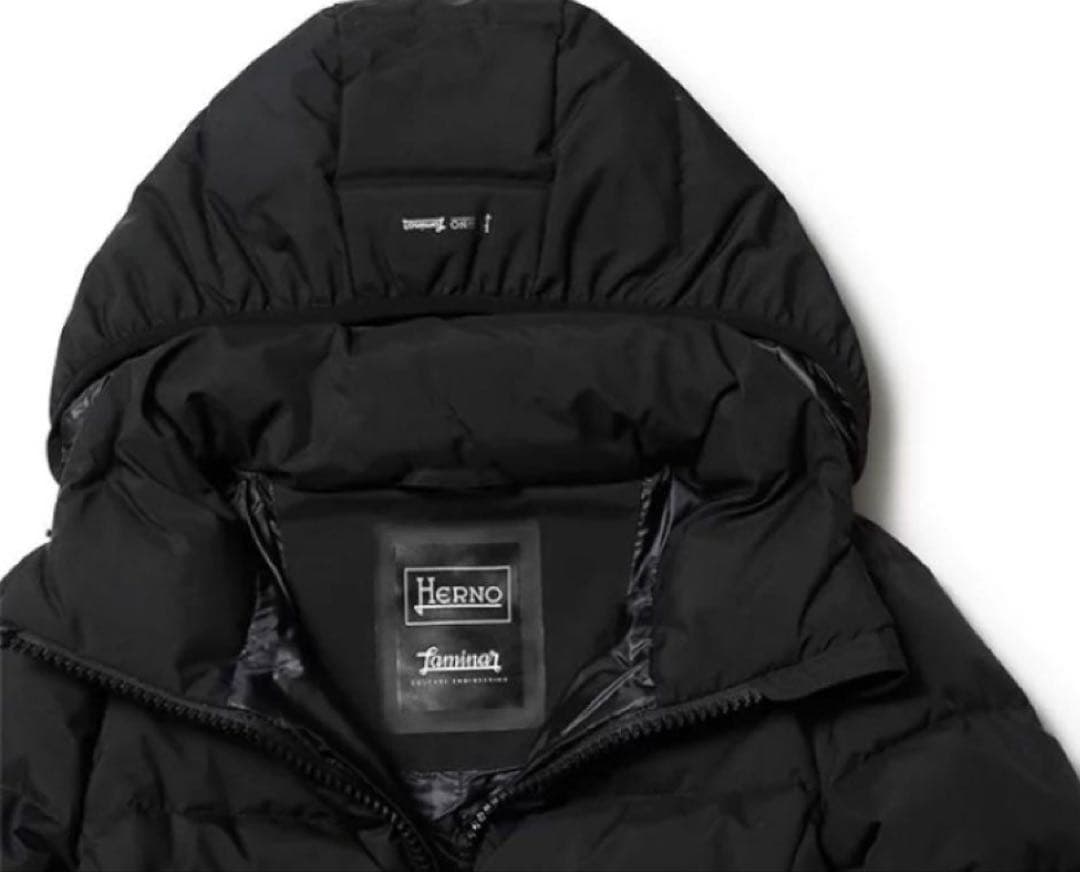 値下げ⭐︎HERNOヘルノラミナーロングコートLaminar 42 極暖ダウン