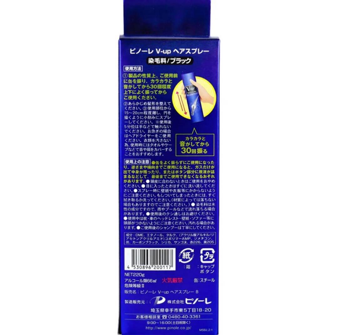 ピノーレ V-upヘアスプレー ブラック 220g 6個セット まとめ売り