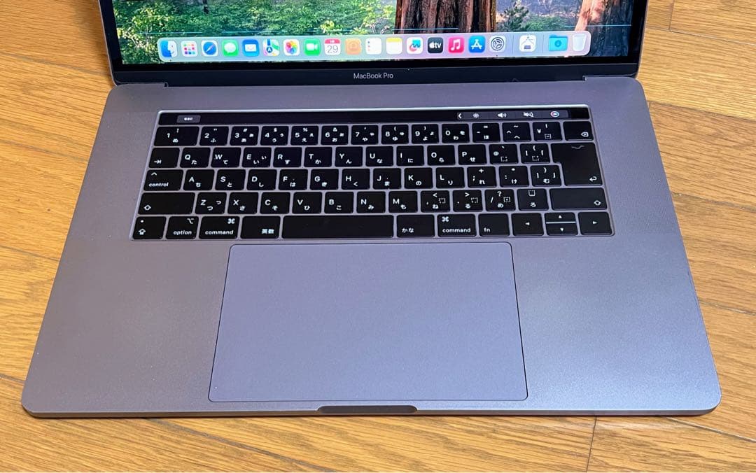 MacBook Pro 15インチ Core i9/16GB/SSD 512GB