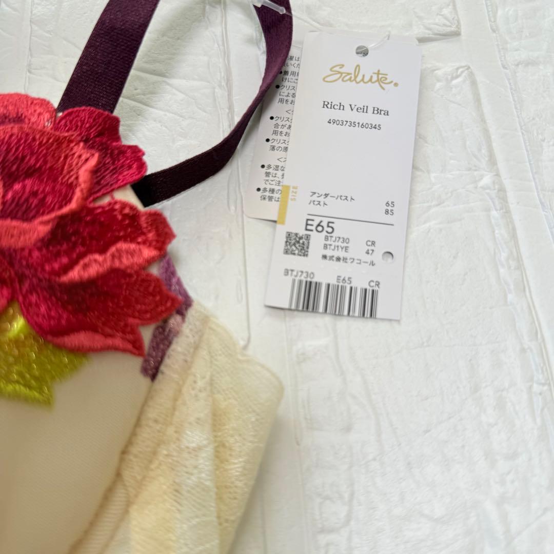 【新品】wacoal サルート　30 ブラ　ソングセット　E65M CR