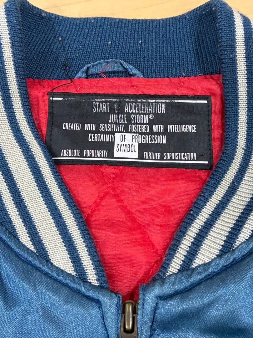 Jungle storm スカジャン フリーサイズ　テッドマン