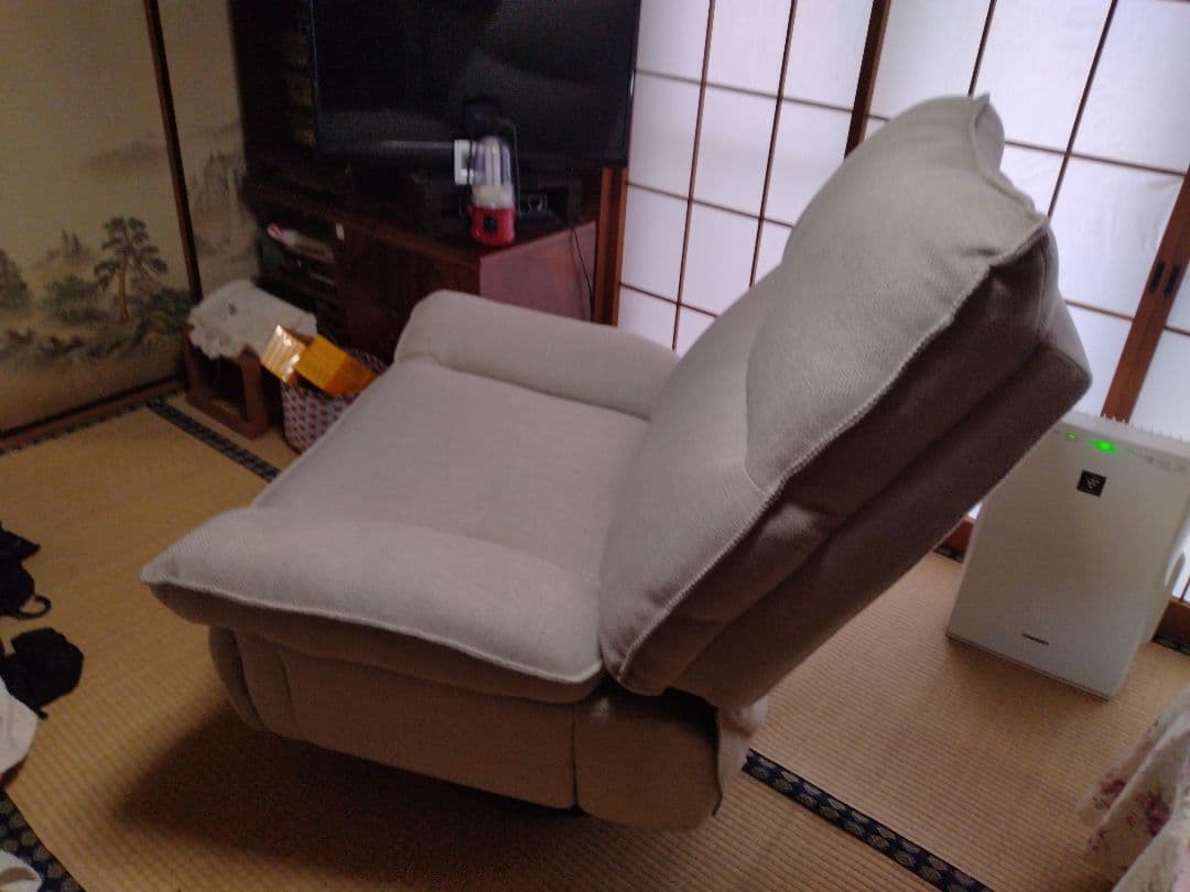 Flexispot リクライニングソファ XRC5 フレキシスポット