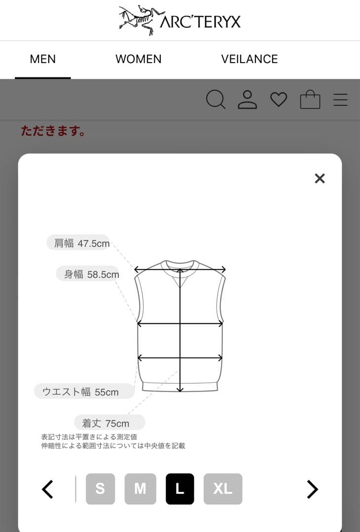 アークテリクス アトムベスト ARC’TERYX Atom Vest